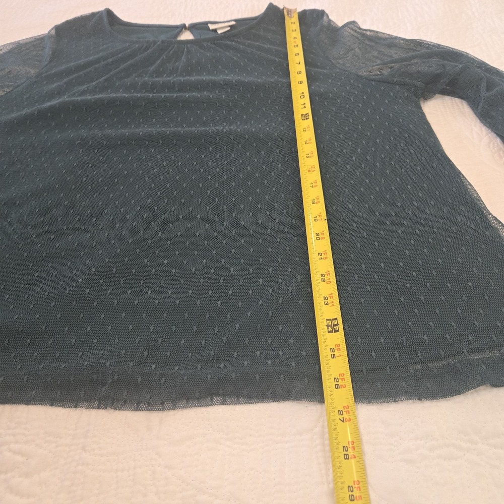 Ava & Viv Peasant Blouse Mesh Sheer Long Sleeve Jewel Green‎ Royal Whimsigoth 2X - Picture 14 of 16